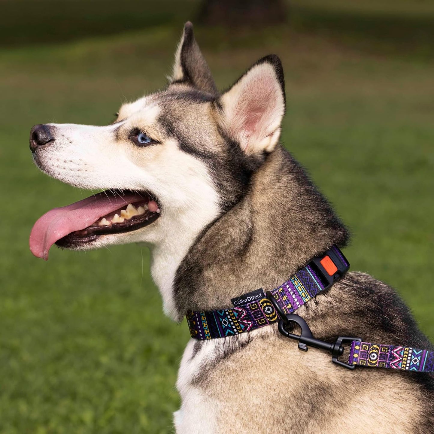 Dog Leash Durable Pet Leash for Walking Training Running for Small, Medium and Large (Ethnic Pattern, Green, L)