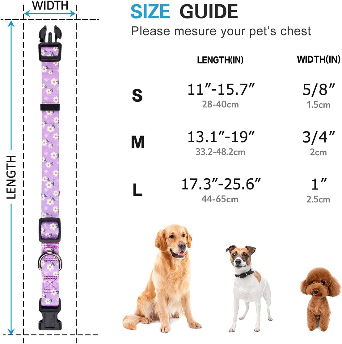 Daisy Floral Design Dog Collar for Small Dogs in Purple