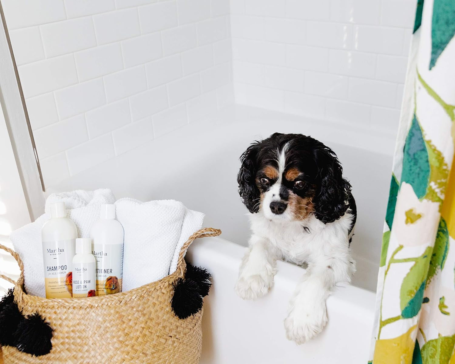 for Pets Moisturizing Shampoo for Dogs | Puppy and Dog Shampoo for Dry Itchy Skin, 16 Ounces | Perfect for All Dogs and Puppies with Sensitive Skin