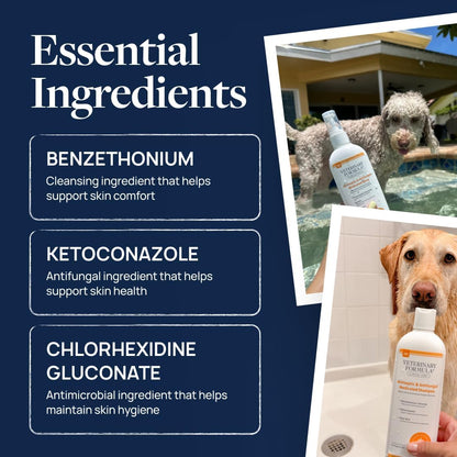 Clinical Care Antiseptic & Antifungal Shampoo, 16 Oz | Medicated Formula Helps Alleviate Scaly, Greasy and Red Skin; Free from Parabens, Dyes and Soap