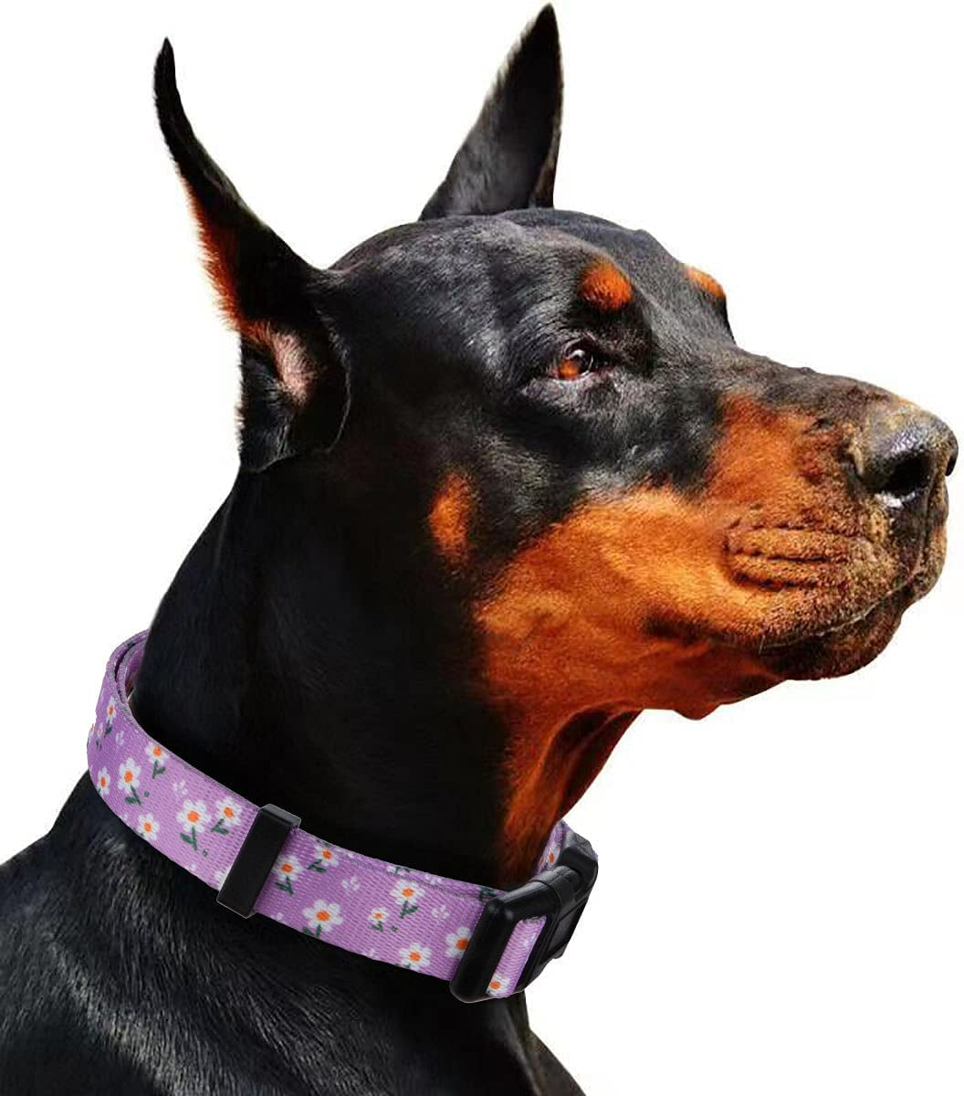 Daisy Floral Design Dog Collar for Small Dogs in Purple