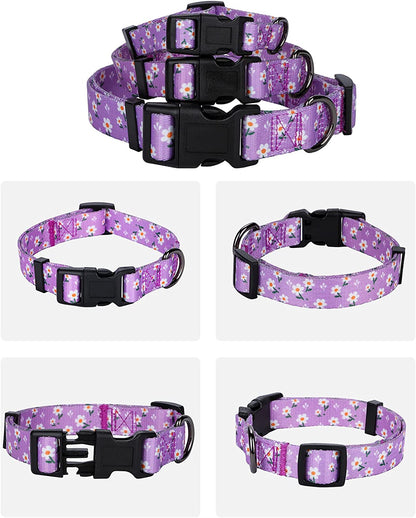 Daisy Floral Design Dog Collar for Small Dogs in Purple