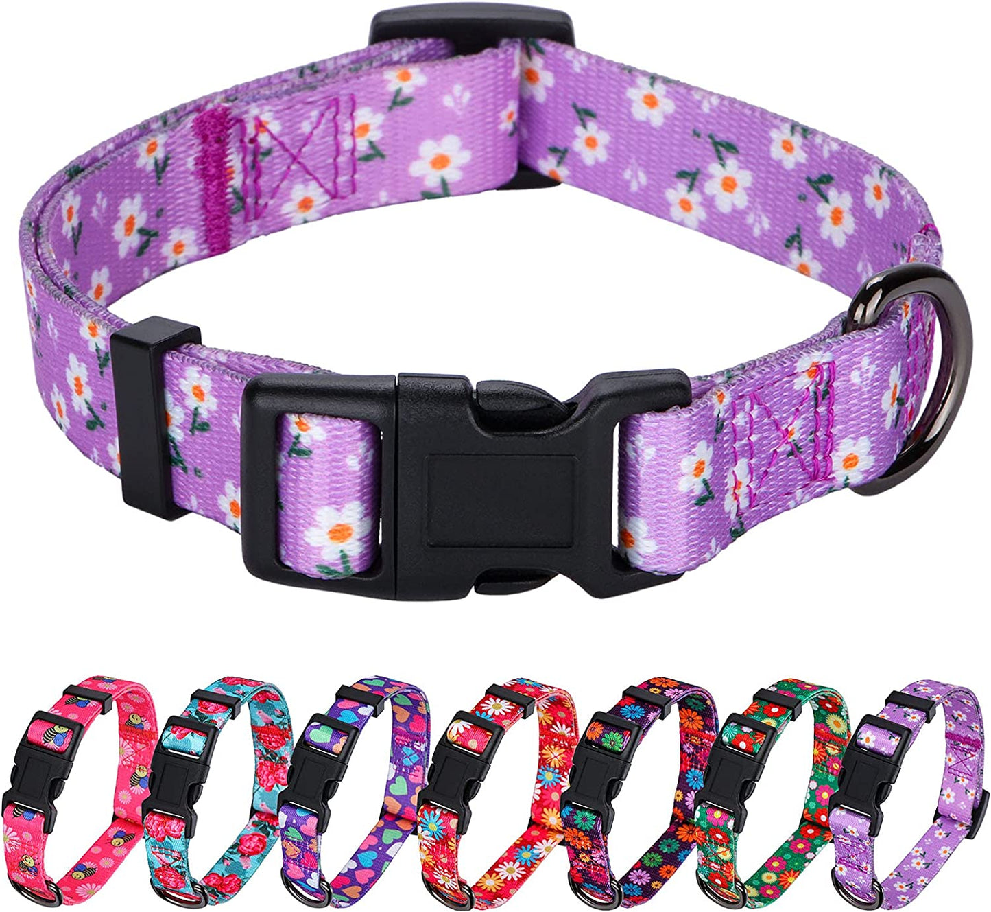 Daisy Floral Design Dog Collar for Small Dogs in Purple