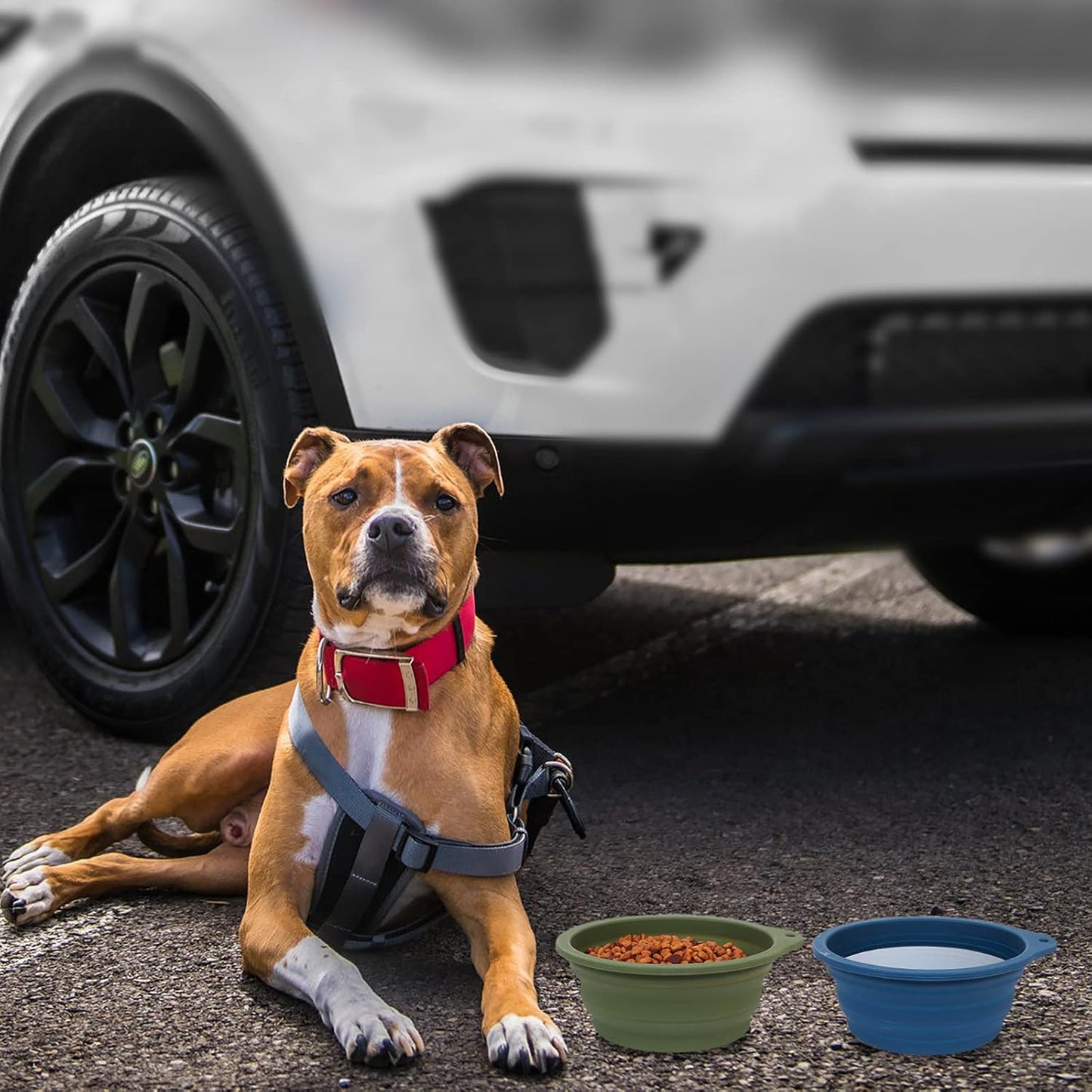 Collapsible Dog Bowls - 2-Pack, Integrated Molding Travel Bowls for Outdoor Feeding, 600ml Capacity (Navy Blue & Dark Green)