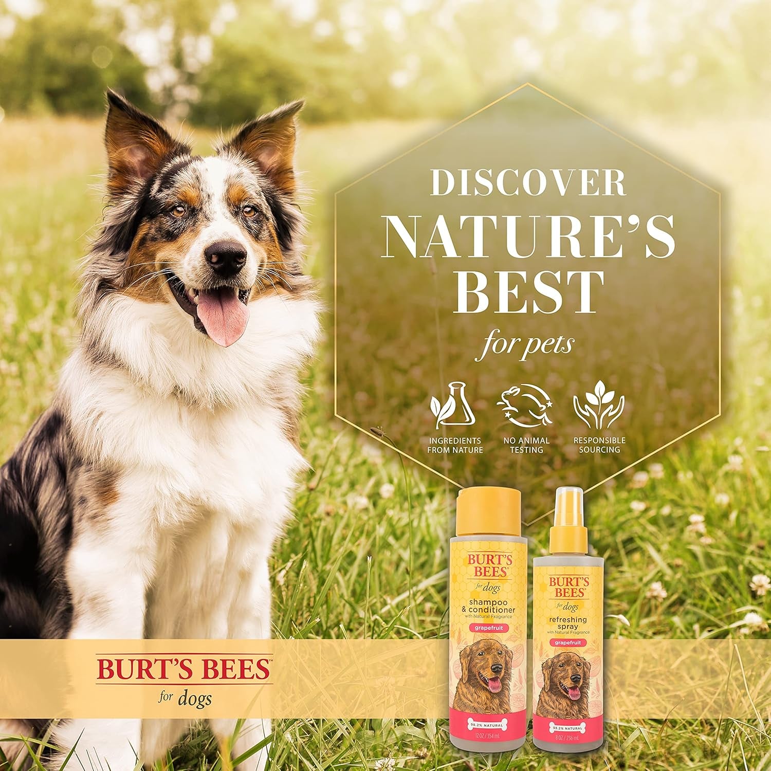 Shampoo & Conditioner with Naturally Derived Grapefruit Fragrance 2-In-1 Dog Shampoo & Conditioner - Cruelty Free, Formulated without Sulfates and Parabens, Made in USA, 12 Oz
