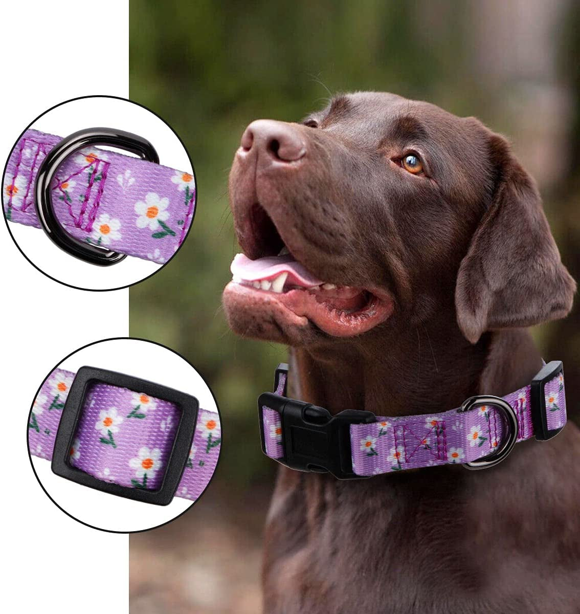 Daisy Floral Design Dog Collar for Small Dogs in Purple