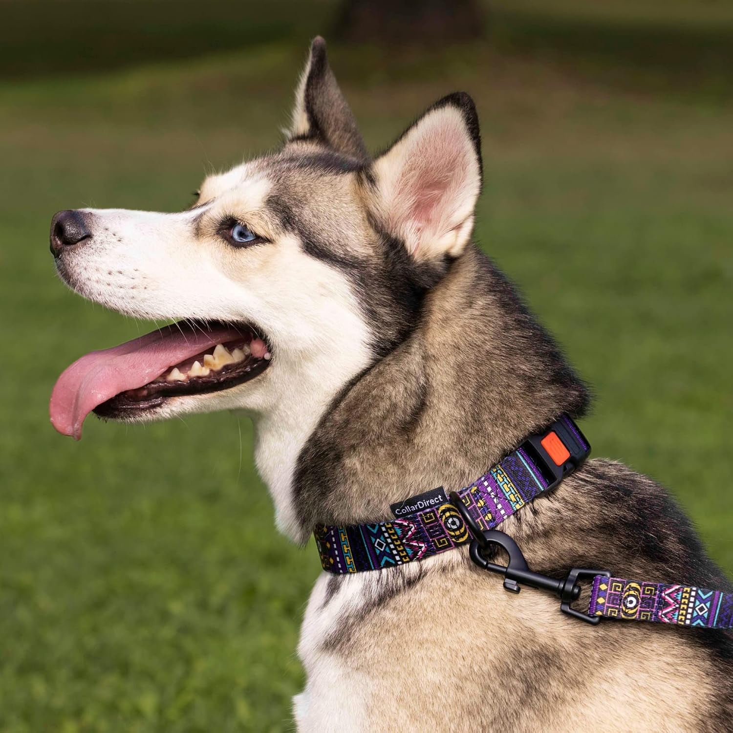 Dog Leash Durable Pet Leash for Walking Training Running for Small, Medium and Large (Ethnic Pattern, Green, L)