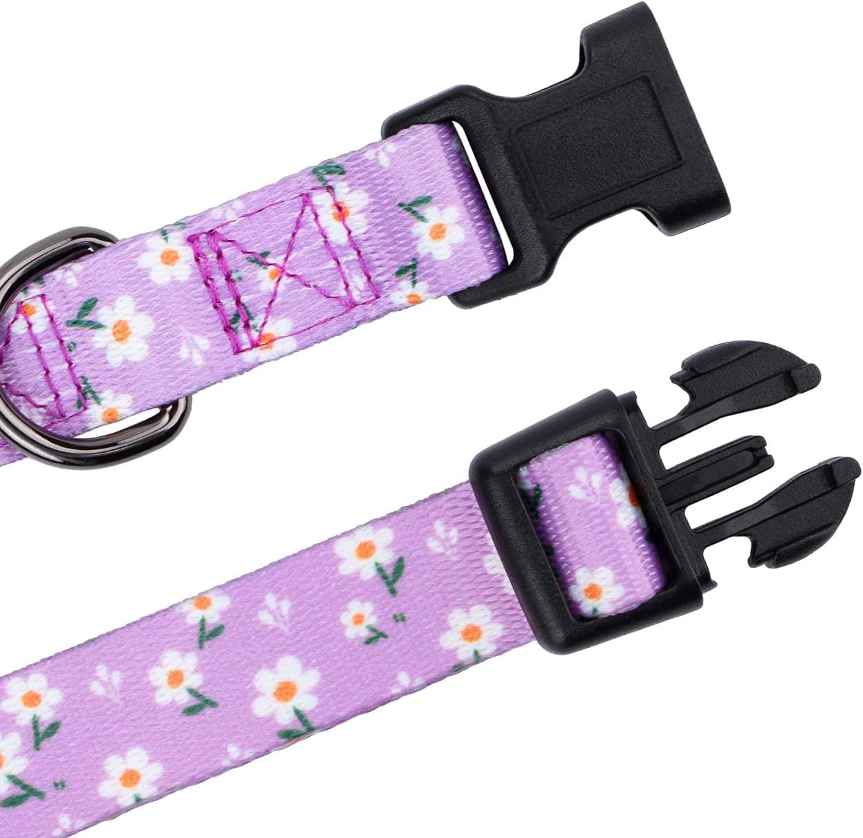 Daisy Floral Design Dog Collar for Small Dogs in Purple