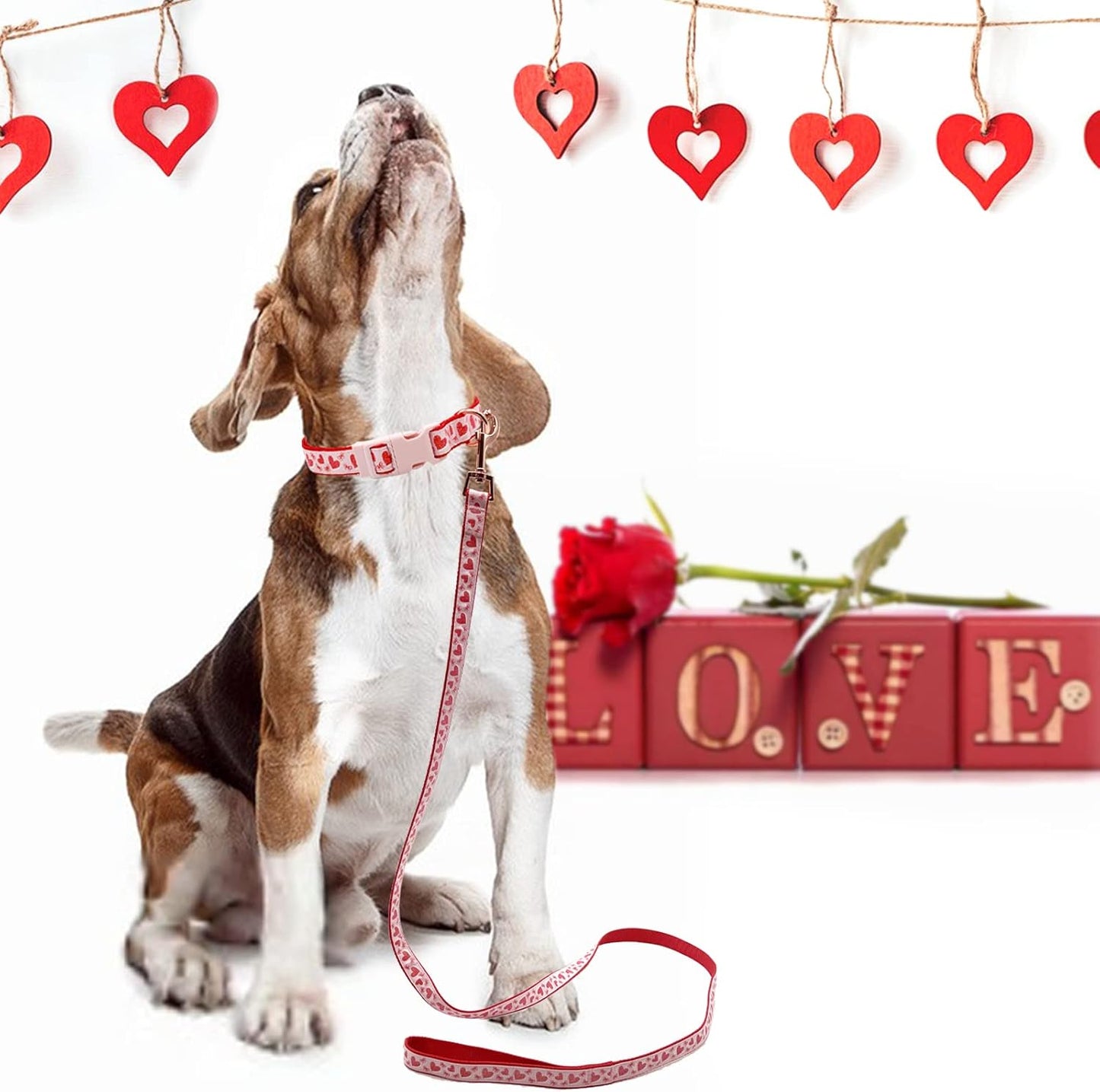 Valentine'S Day Dog Collar and Leash Set, Adjustable Pink Dog Collar with Glittery Pink Heart Pattern Matching Leash Valentines Day Gift for Small Dogs