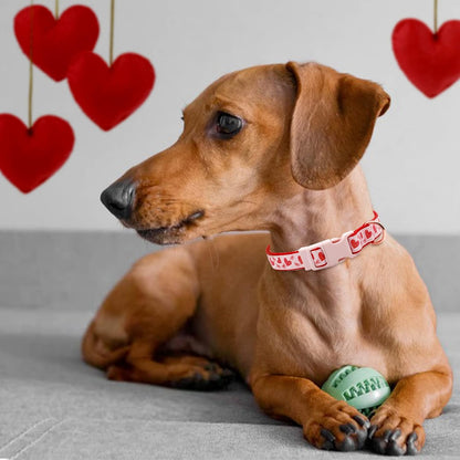 Valentine'S Day Dog Collar and Leash Set, Adjustable Pink Dog Collar with Glittery Pink Heart Pattern Matching Leash Valentines Day Gift for Small Dogs
