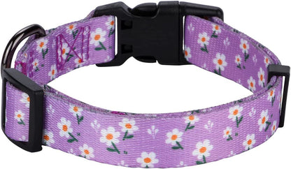 Daisy Floral Design Dog Collar for Small Dogs in Purple
